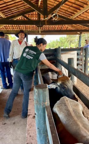 Foto Maranhao contra a Aftosa 1