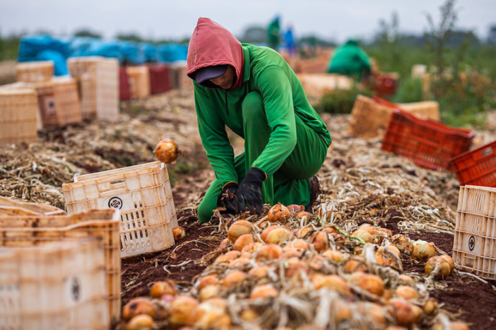 51584168157 fcc769a112 c