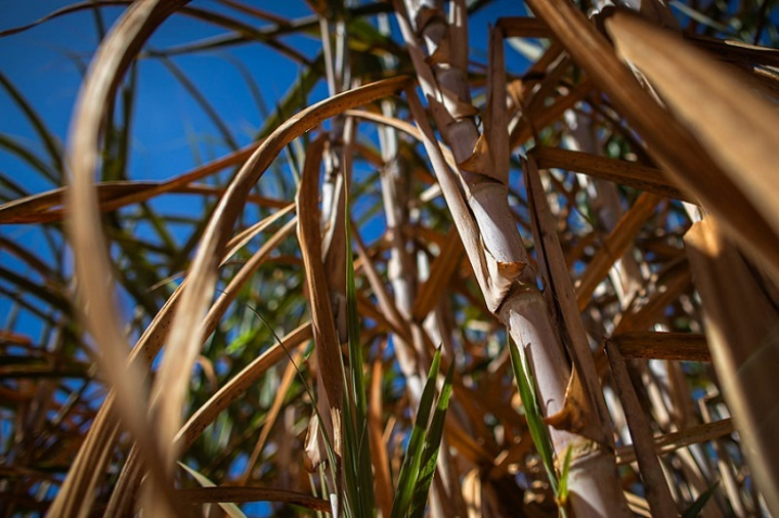 53010456129 116da69816 c