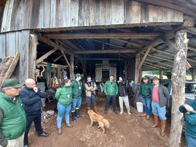 Whats App Image 2024 05 29 at 10 24 18