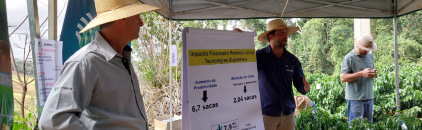 Destaque noticias CNA cultivares de cafe