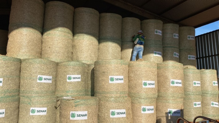 Whats App Image 2024 06 04 at 14 02 18