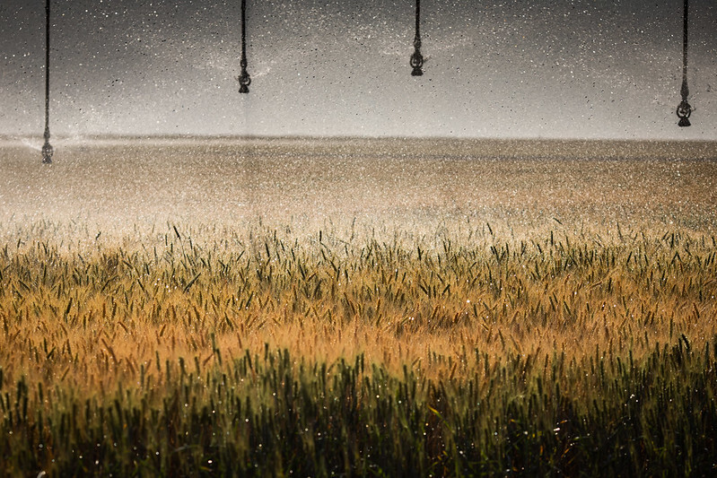 51412805141 ee7a80e32b c