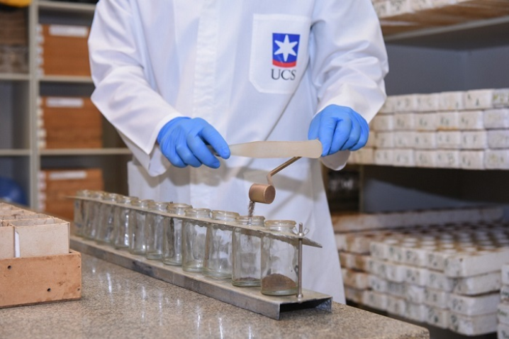 Whats App Image 2024 06 27 at 10 54 15