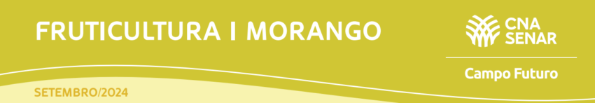 Ativo CF setembro 2024