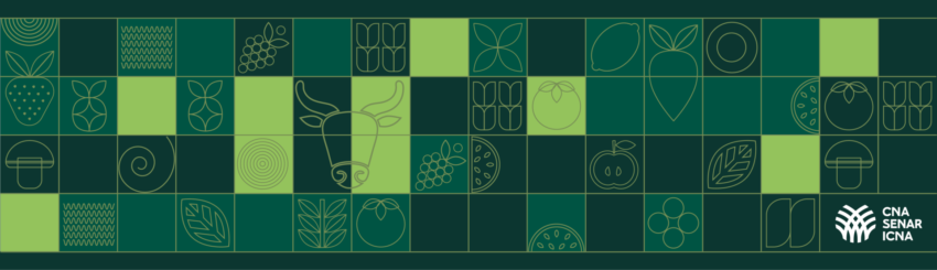 Cards Balanco Perspectivas Data Site