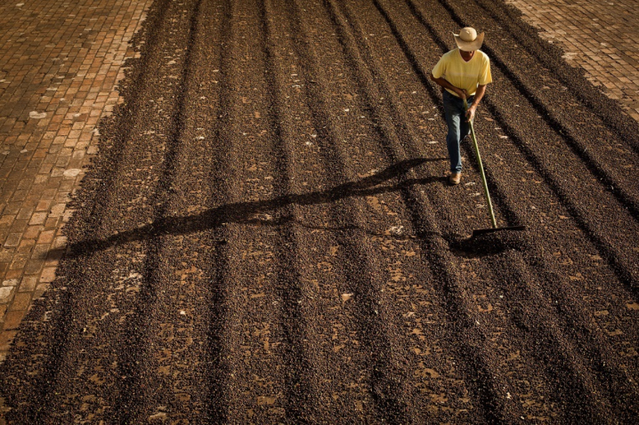 26227826928 73aff814f1 k