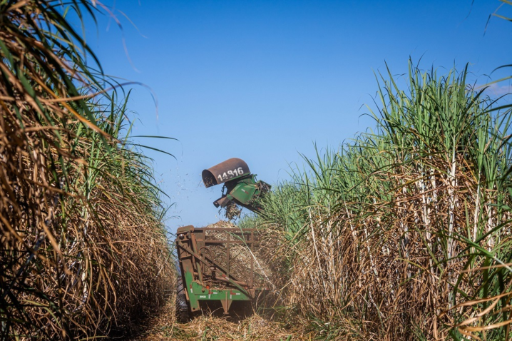 53010293871 fc52a43e2d k