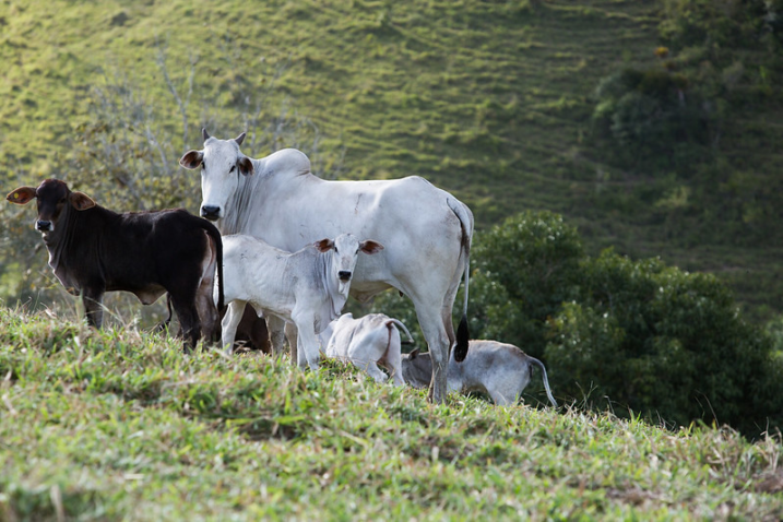 25431748107 372fef203c c