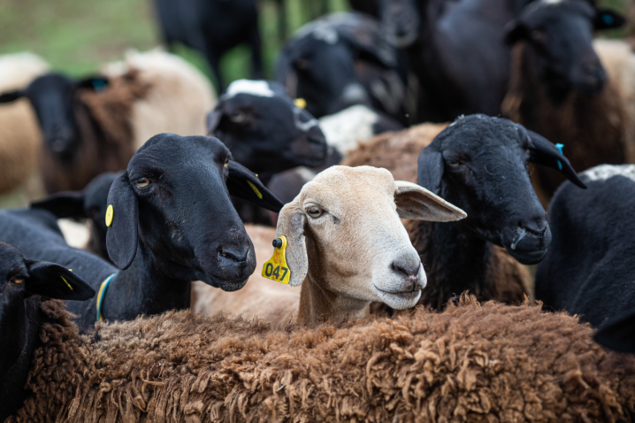 50724117012 5b5f65ad72 k