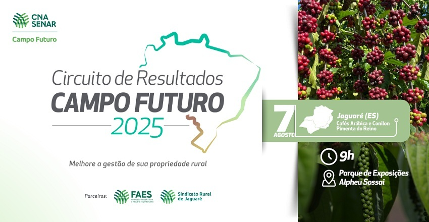 Landscape campo futuro jaguare