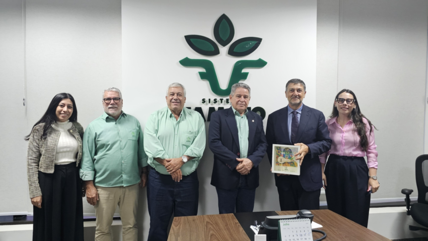 Whats App Image 2025 07 28 at 17 41 041