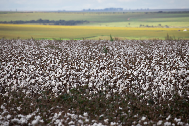 50018129572 be9688dc6b c