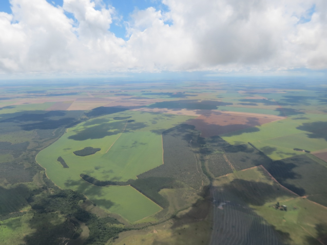 Licenciamento Ambiental Curso