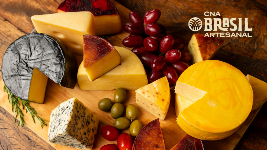 Copia de Comunicado Tecnico 28