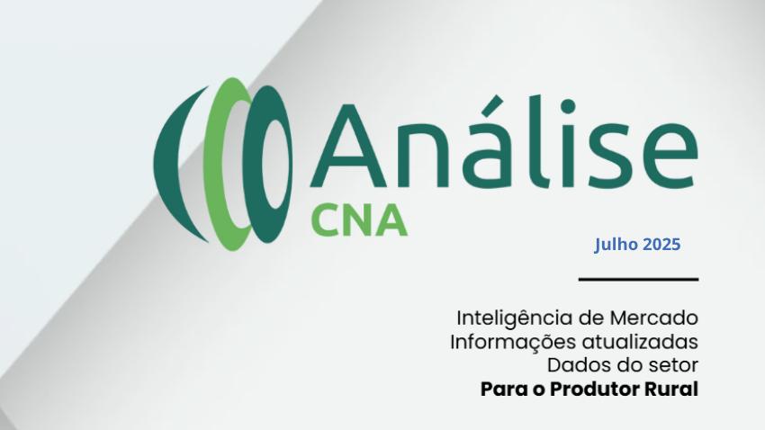 Analise CNA JUL 2025
