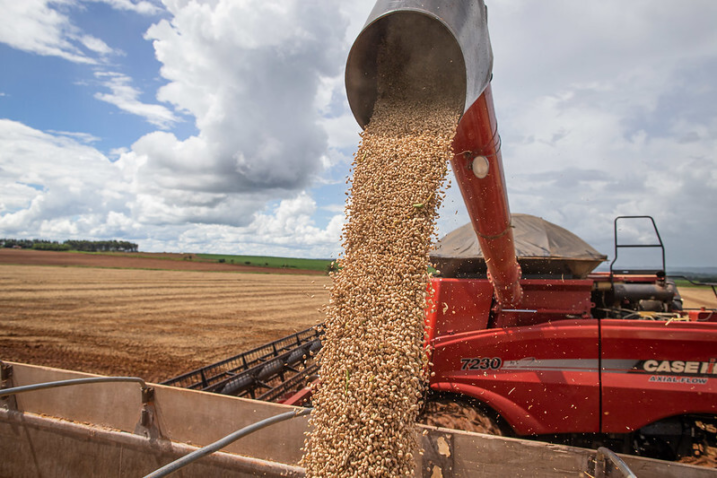 50897407738 1b7d317778 c 2