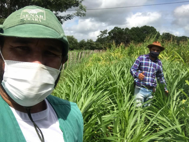 FOTO CAPRINOCULTURA DE CEDO