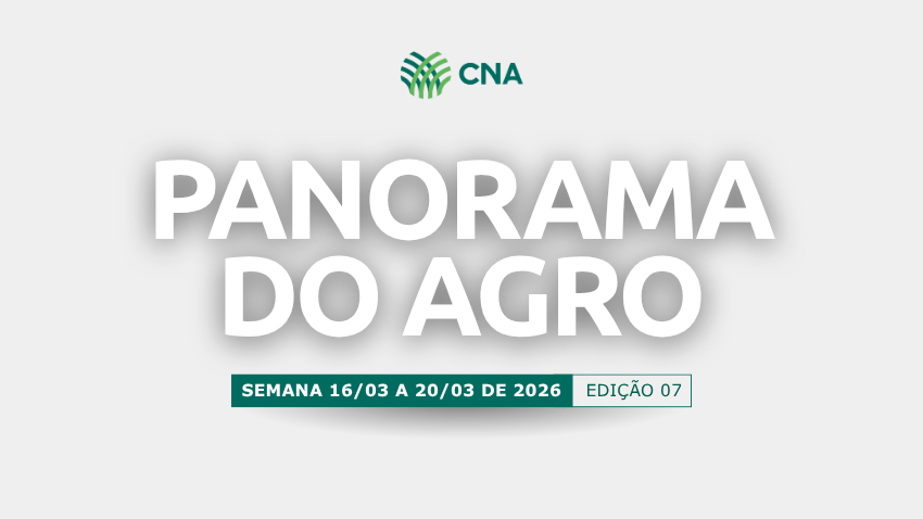 Panorama do Agro 07