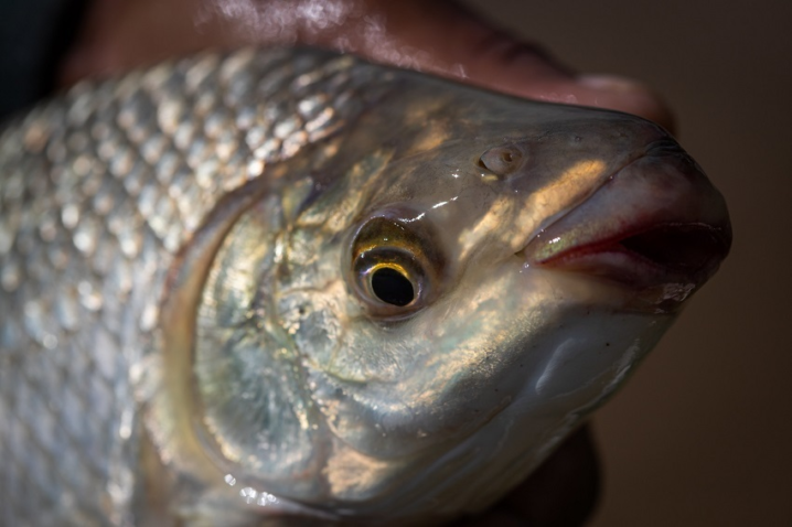 51178273370 9b0f91c6e1 k