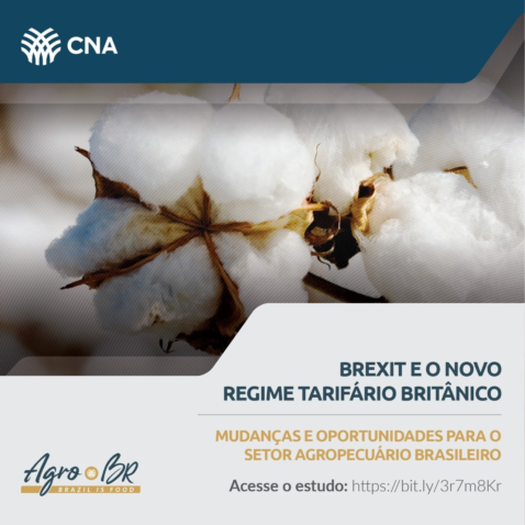 Card Estudo Reino Unido