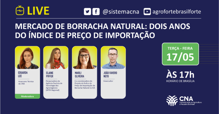 Mercado de borracha natural