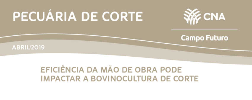 Pecuaria de corte2019