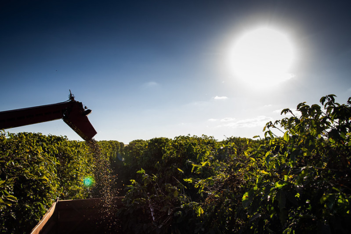 51324393676 36e5ec472b c