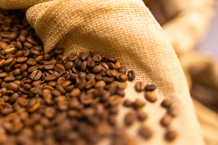 CNA debate renovação de linha de crédito para cafezais danificados