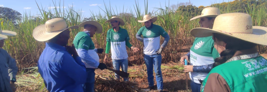 Produtores de Rondonópolis ampliam conhecimentos sobre silagem em curso