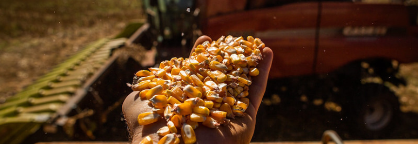 Campo Futuro levanta custos de produção em MG e SE