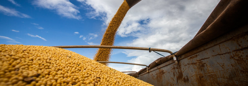Primeiro balanço da Expedição Safra Goiás estima redução de três milhões de toneladas de soja no estado