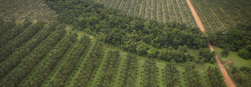 Programa PRAVALER reúne produtores para apoiar a regularização ambiental