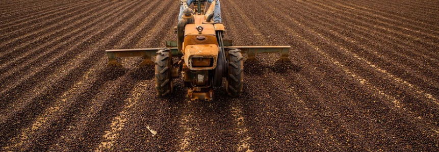 Produtores podem pagar a contribuição sindical rural até dia 22 de maio