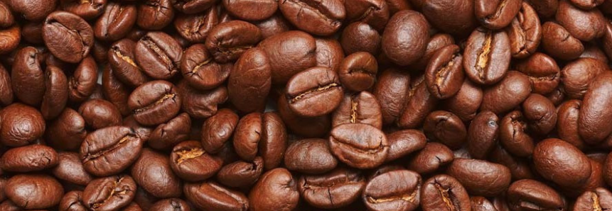 Café fermentado atrai produtores e cafeterias interessados em novos aromas e sabores