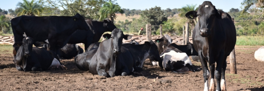 ATeG se prepara para 100 dias de campo em 2022