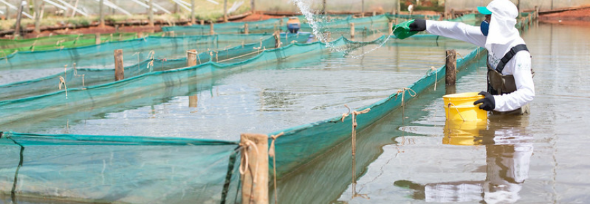 Senar esclarece dúvidas de produtor de peixes sobre cuidados com viveiros