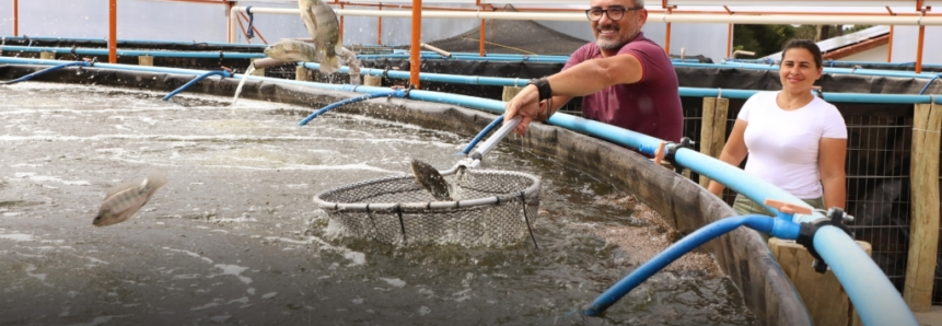 Produtor aposta em cultivo de peixes indoor no Paraná