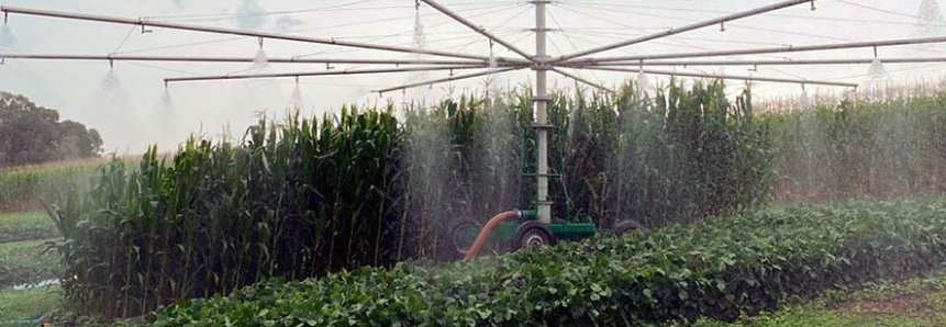 Pesquisadores usam simulador de chuva em estudo sobre solo