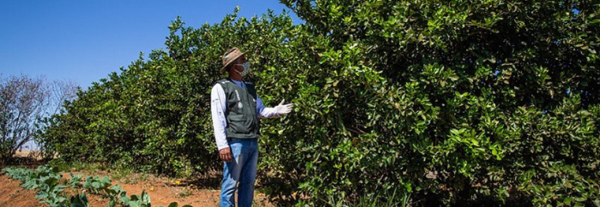 Senar lança cartilha sobre produção orgânica