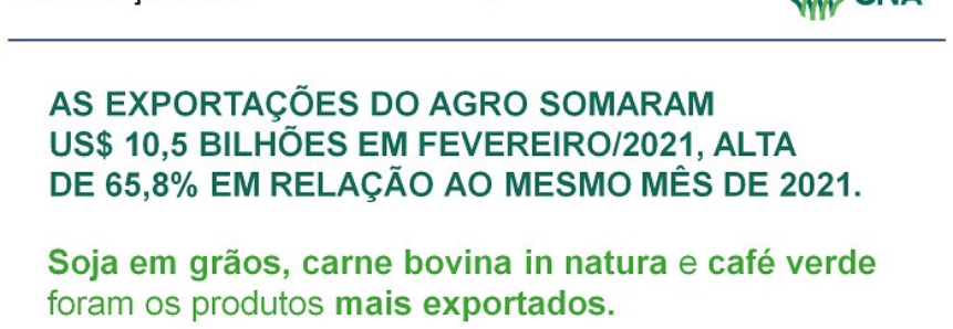 Exportações do agro alcançam US$ 10,5 bilhões em fevereiro de 2022