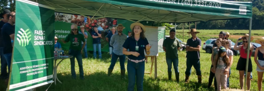 Dia de Campo reúne produtores de gado de corte em Serra Alta