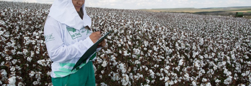 Em dez anos, número de mulheres em atividades agrícolas cresce 109%