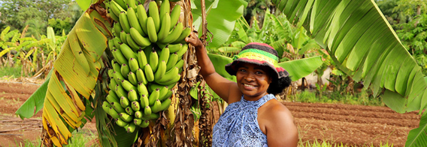 Mulheres no agro: Produtora triplica produção com ajuda do Senar/MS