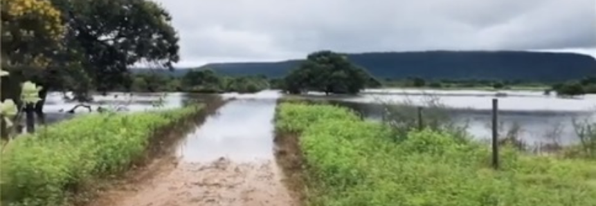 CMN atende CNA com linha de crédito emergencial e prorrogação de dívidas de produtores afetados pelas chuvas