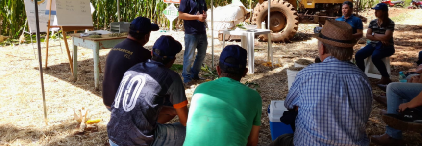 Dia de Campo discute qualidade da silagem de milho com produtores de leite do meio oeste