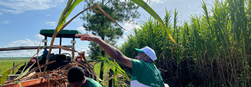 Produtores rurais aprendem a produzir silagem em Alto Taquari