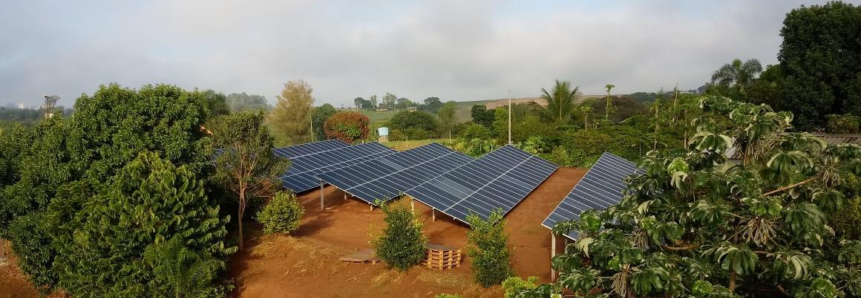 Comissão Técnica de Avicultura destaca aplicação da energia solar na atividade