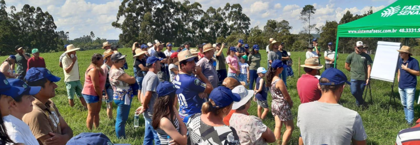 Cerca de 100 produtores da ATeG leite participam de Dia de Campo em Presidente Getúlio