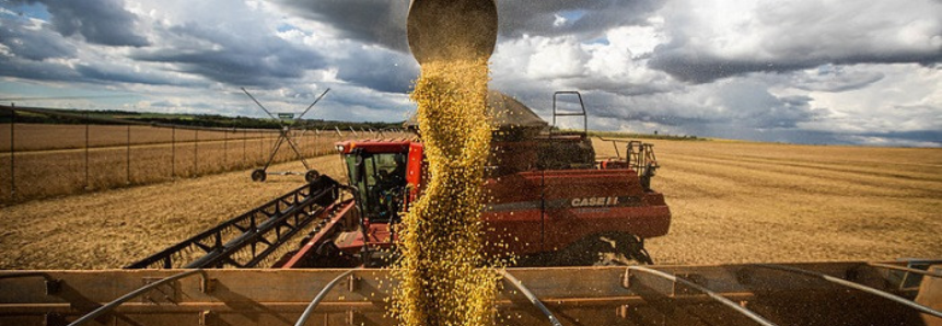 Agropecuária registra maior saldo de empregos desde 2011